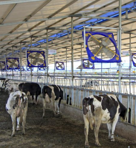 Smart Dairy Control System